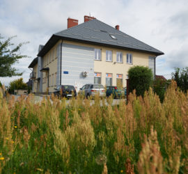 - Przedszkole MUZYCZNY MALUSZEK