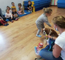 33-przedszkole-glogow-malopolski